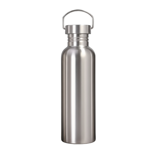 Stainless Steel Bottle