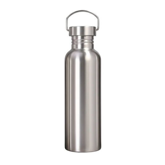 Stainless Steel Bottle